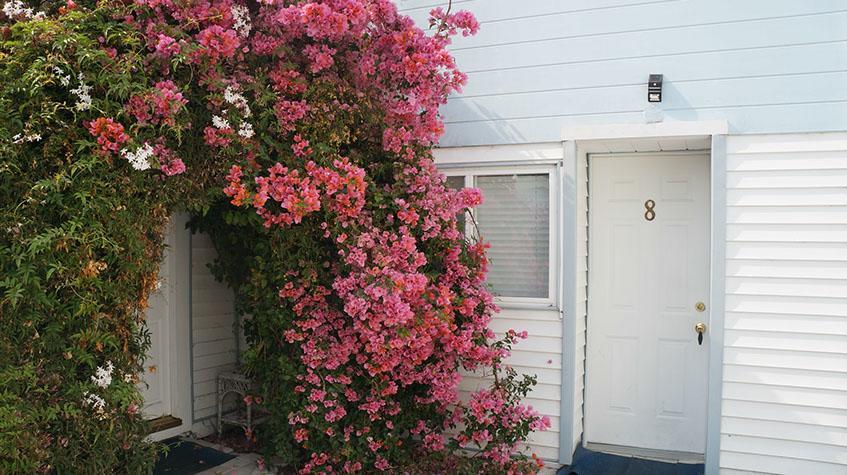 Stinson Beach Motel Esterno foto